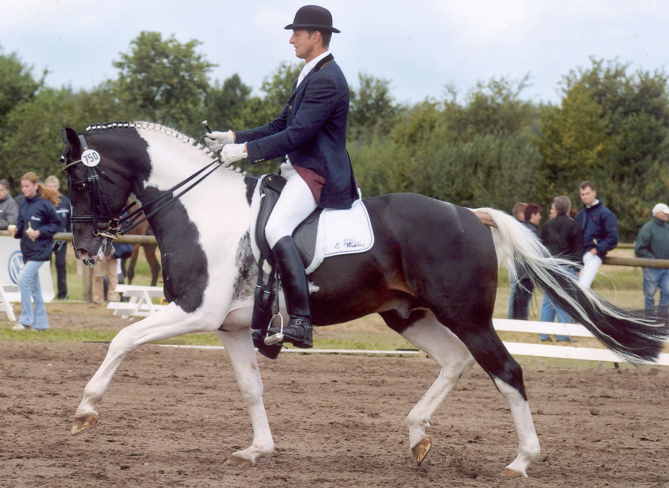 Sambertino in Germany